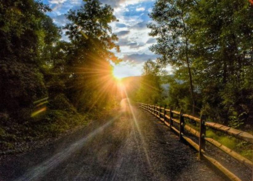 The sun is shining through the trees on a dirt road.