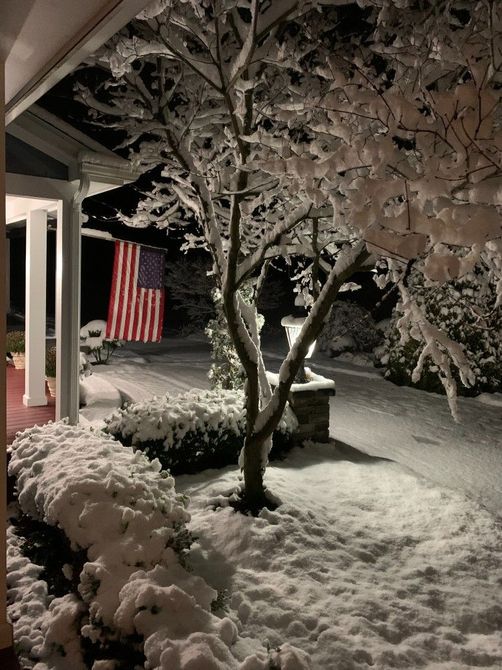 A snowy yard with an american flag in the background