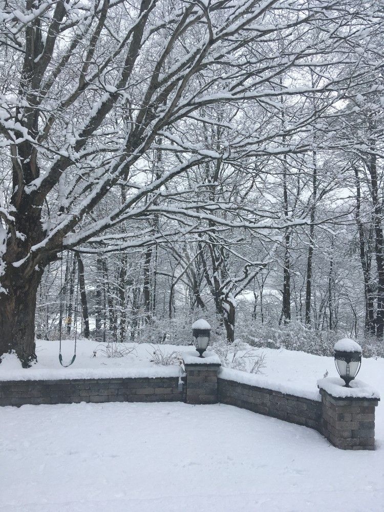 A snowy park with trees covered in snow and a stone wall.