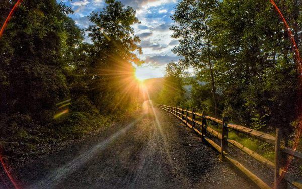 The sun is shining through the trees on a dirt road.