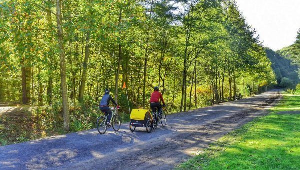 A couple of people are riding bicycles down a dirt road.