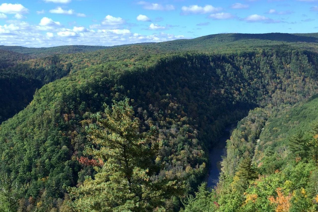 An aerial view of a river running through a valley surrounded by trees.