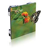 LED wall sales and rentals