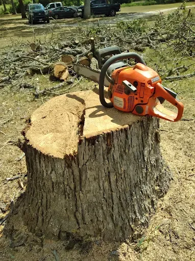 A chainsaw is sitting on top of a tree stump.