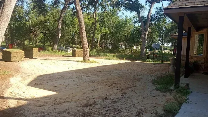 A dirt road leading to a house with trees in the background.
