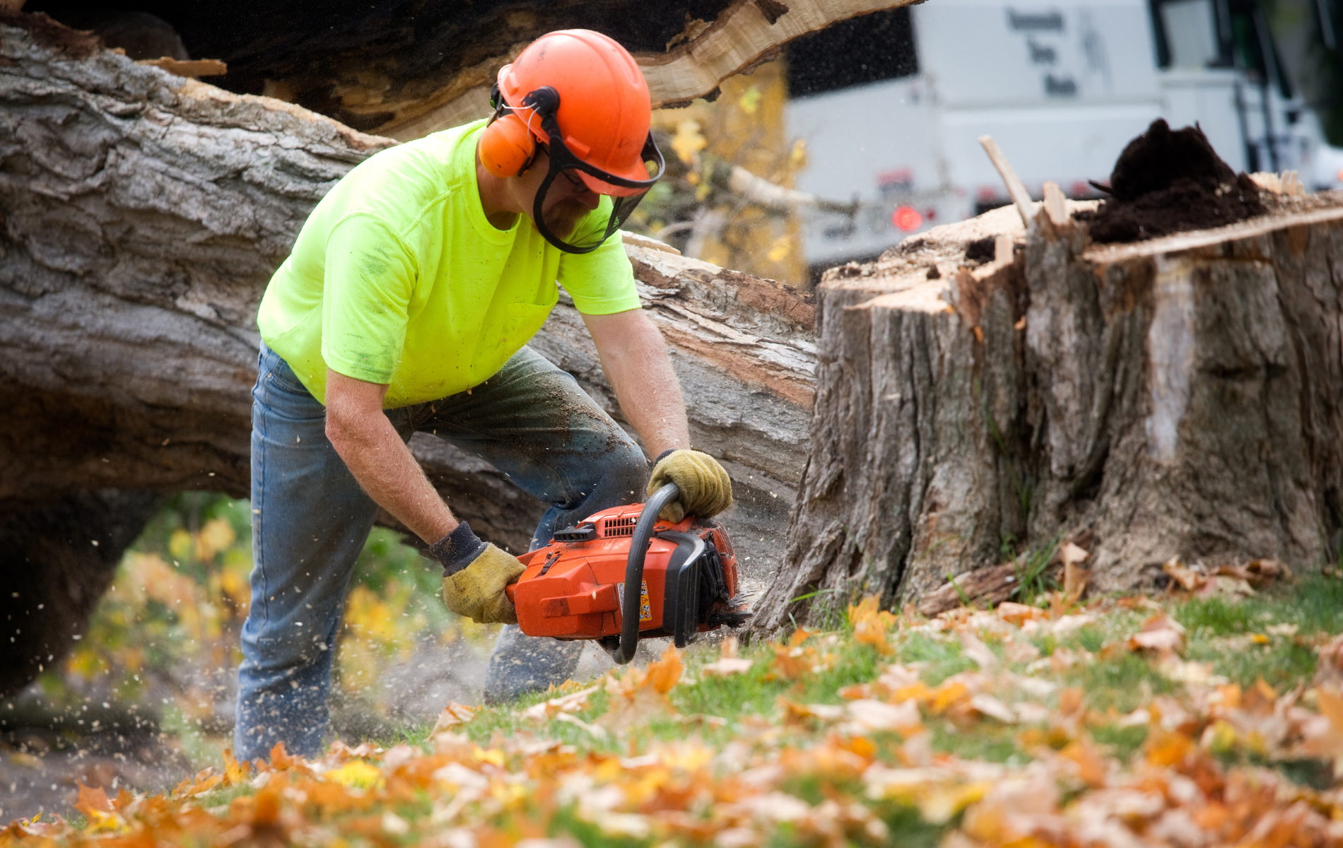 A man is cutting a tree stump with a chainsaw.