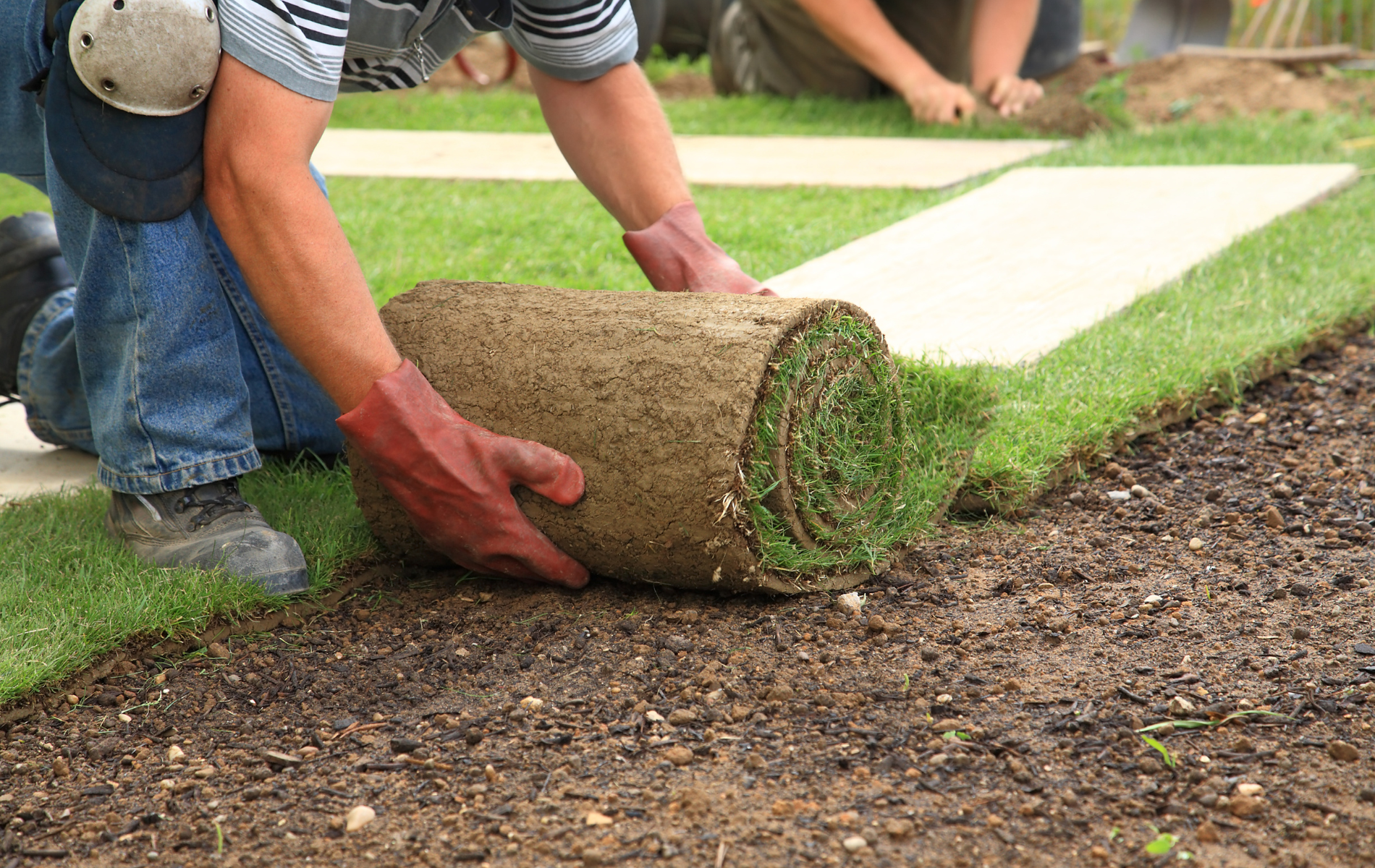 A man is rolling a roll of grass on the ground.