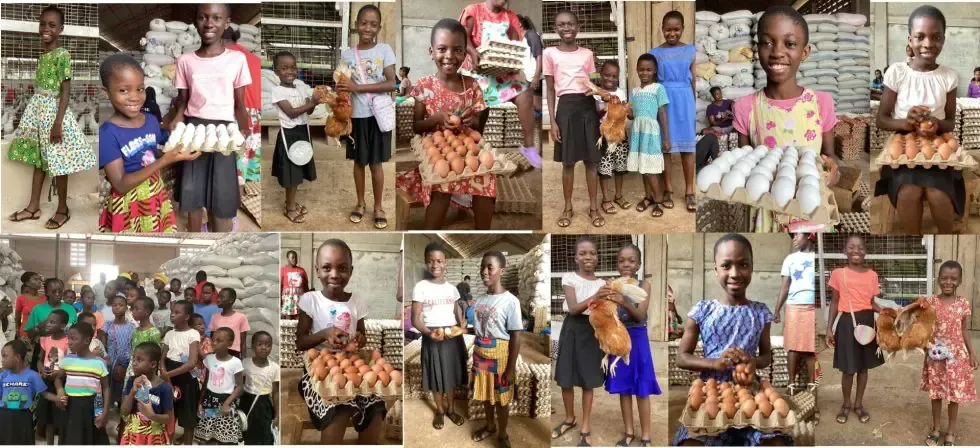 A collage of pictures of children holding eggs in their hands.