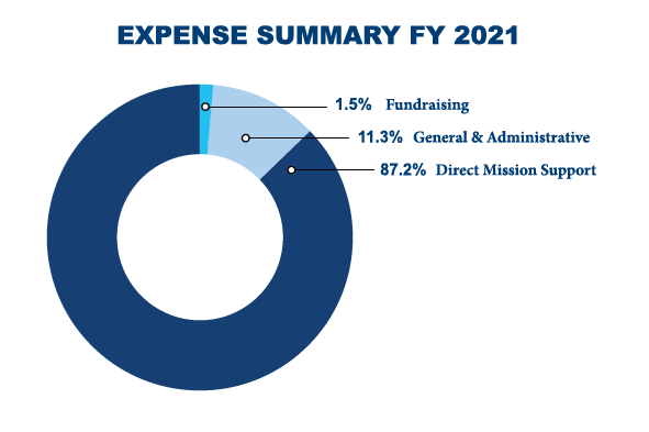 A pie chart showing the expense summary for fy 2021