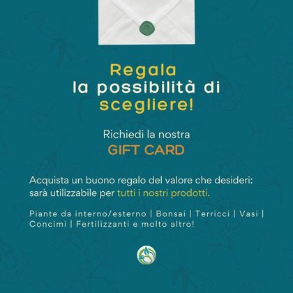 Vendita Piante Online Roma, Bonsai Roma