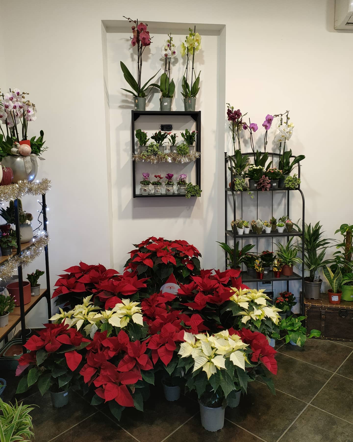 interno negozio con fiori