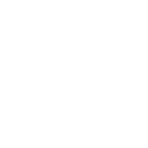 Norml logo