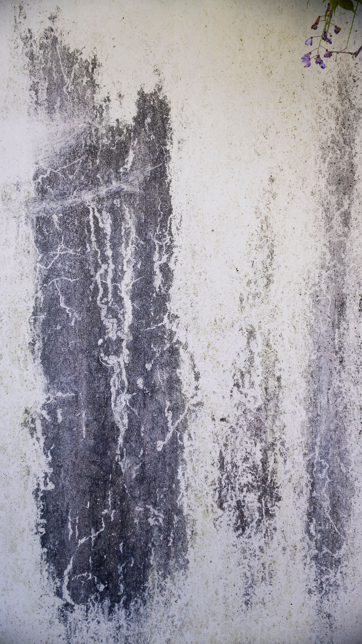 INTRAMUROS 16 Fine Art Photo Print