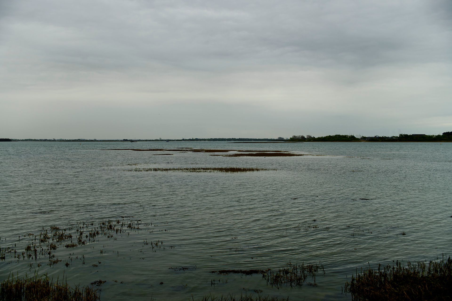 Litterol Box Collection 1 - 15