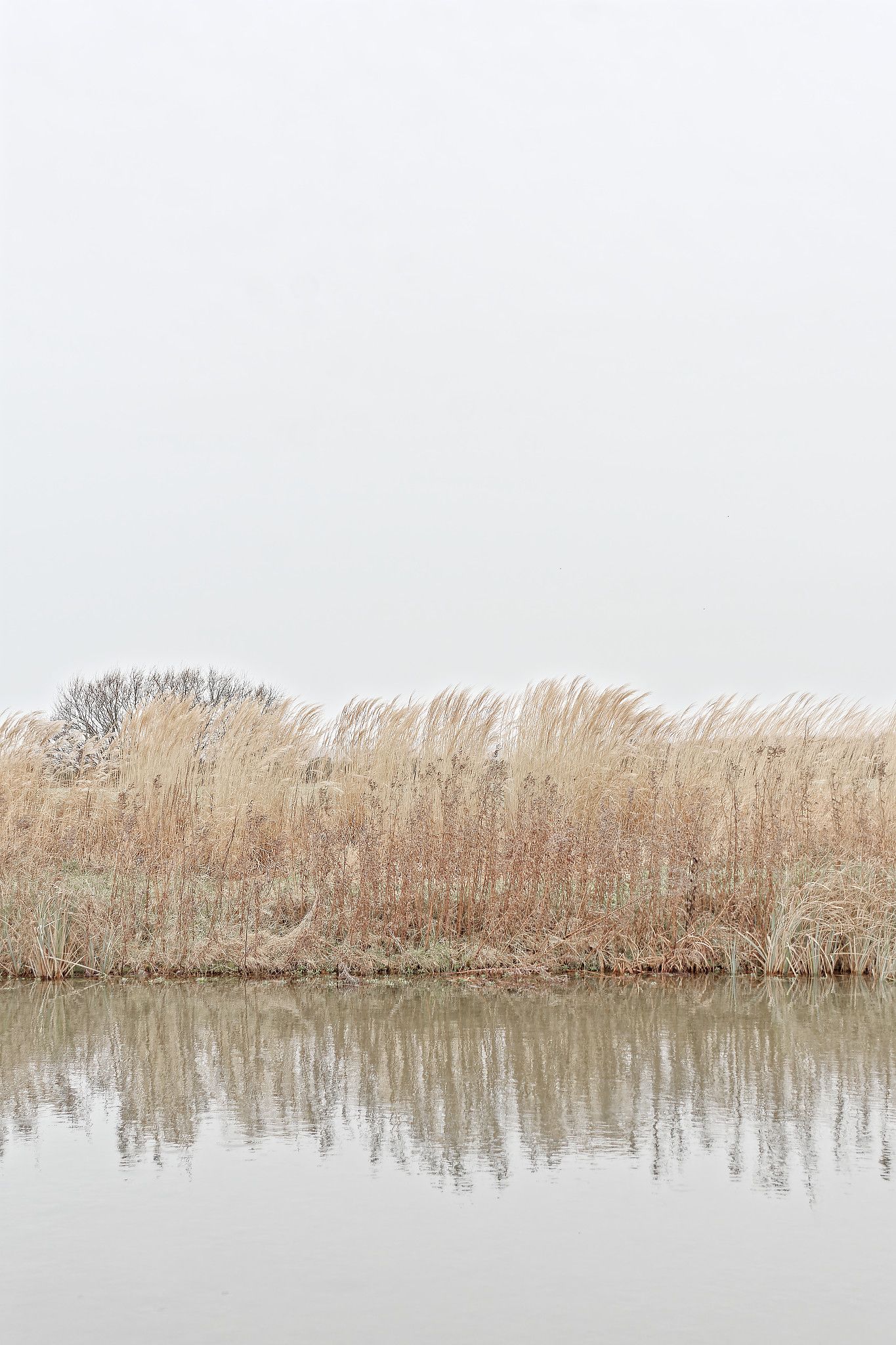 Litterol Box Collection 1 - 15