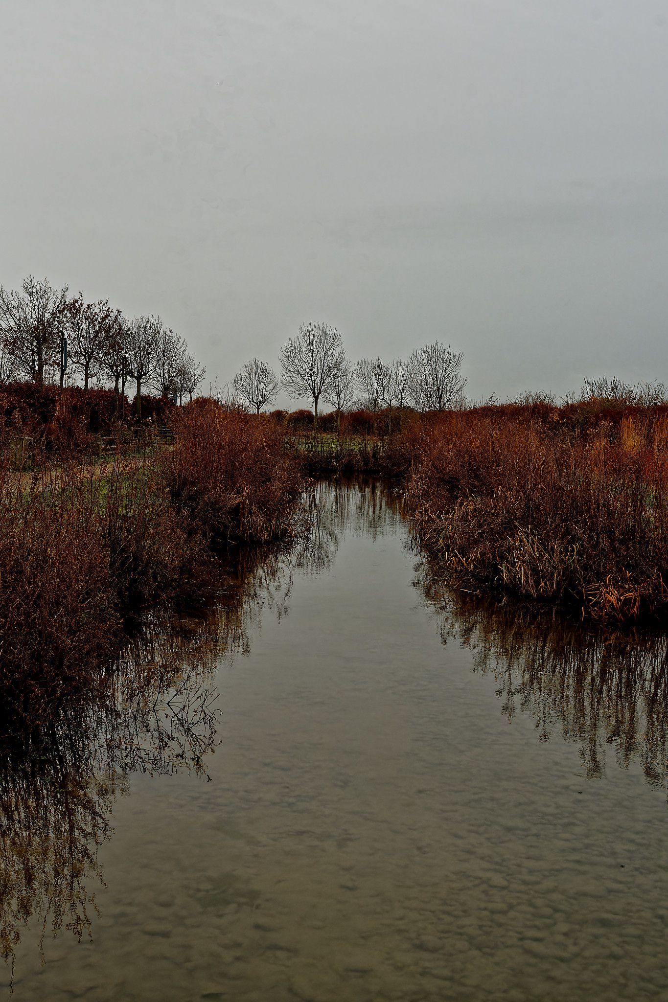 LITTORAL 1-12 Fine Art Photo Print