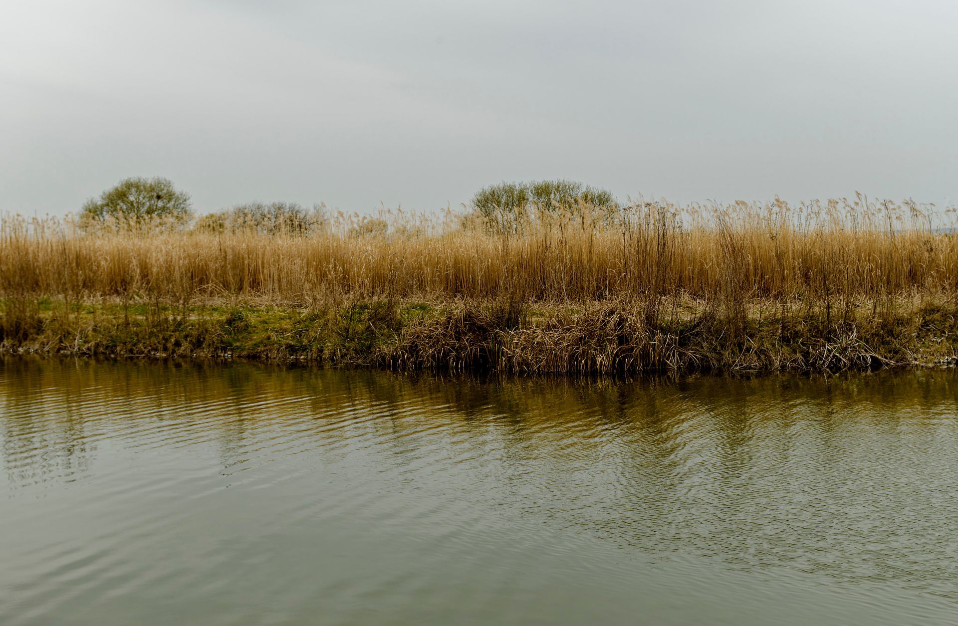 Litterol Box Collection 2 - 25