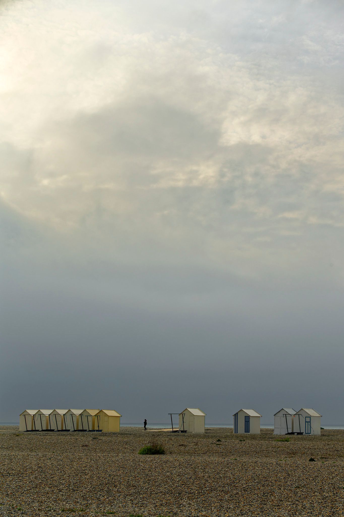 Litterol Box Collection 1 - 29