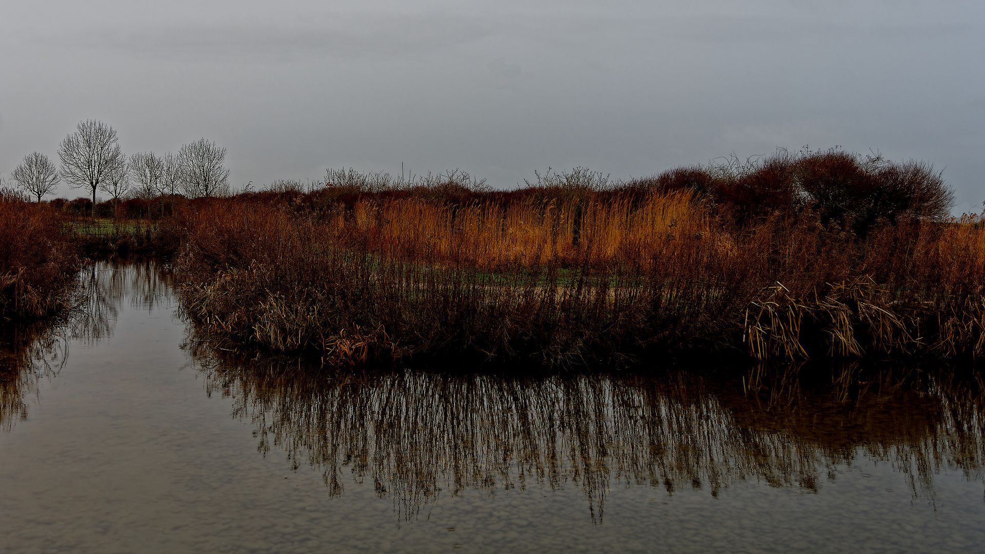 LITTORAL 1-5 Fine Art Photo Print