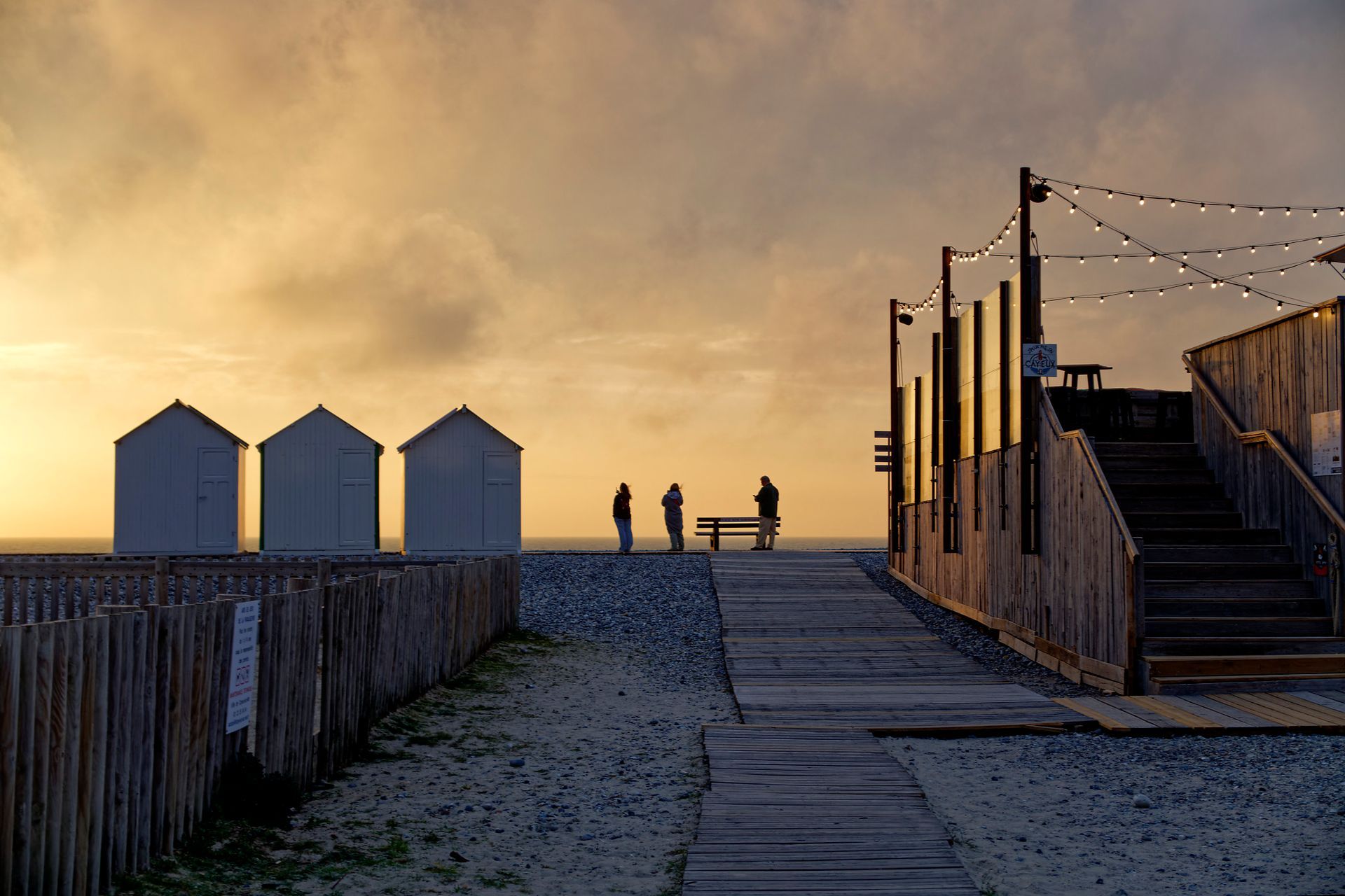 Litterol Box Collection 1 - 2