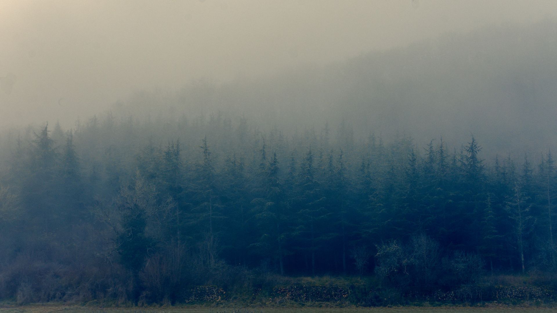 Roaming 1 Fine Art Photo Print