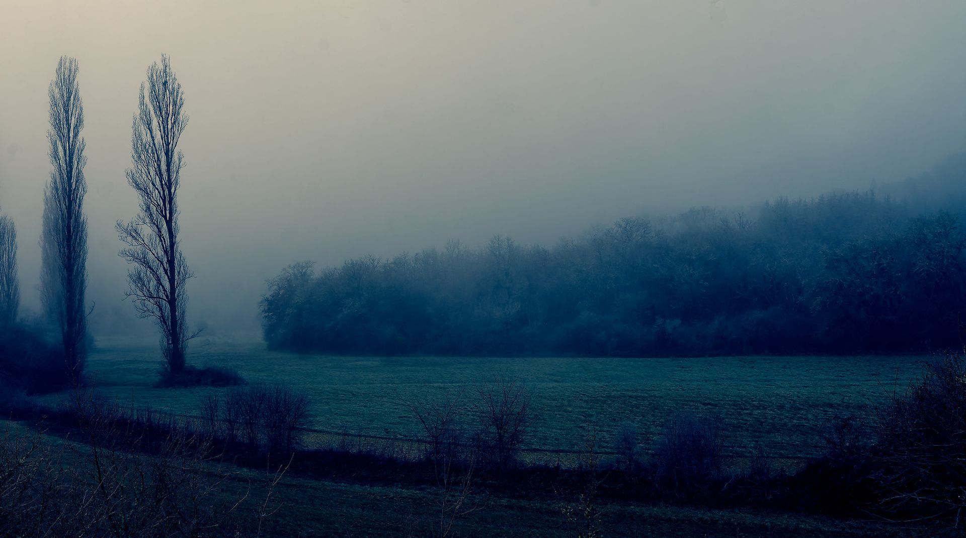 Roaming 2 Fine Art Photo Print