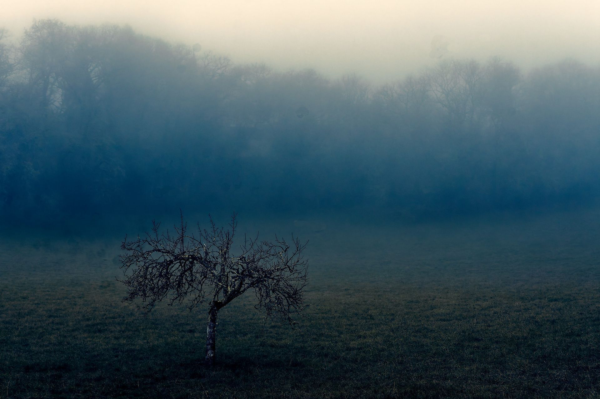 Roaming 3 Fine Art Photo Print