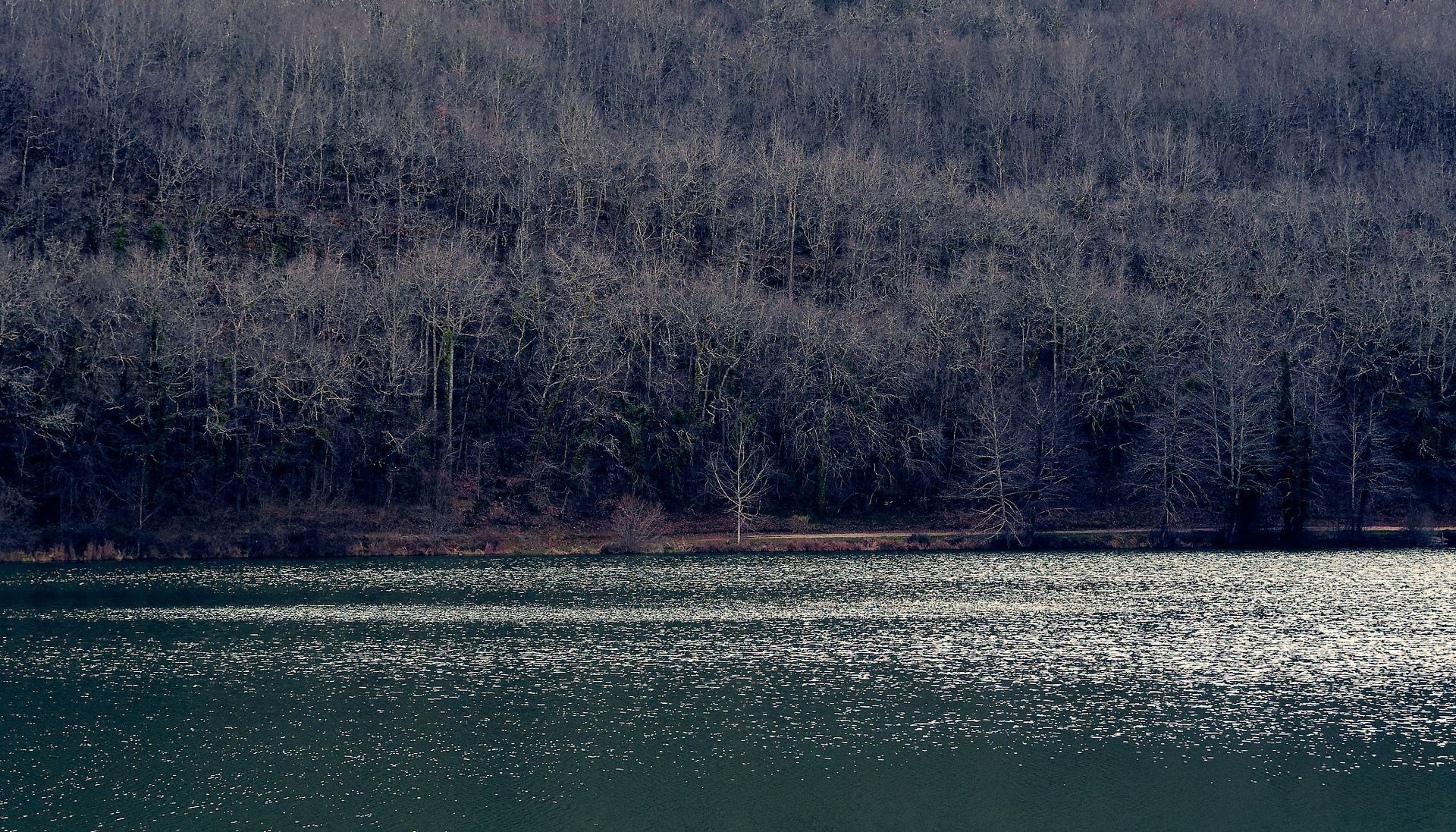Roaming 8 Fine Art Photo Print