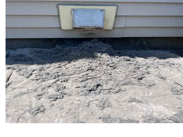Pile of lint below a dryer vent on a beige-sided building