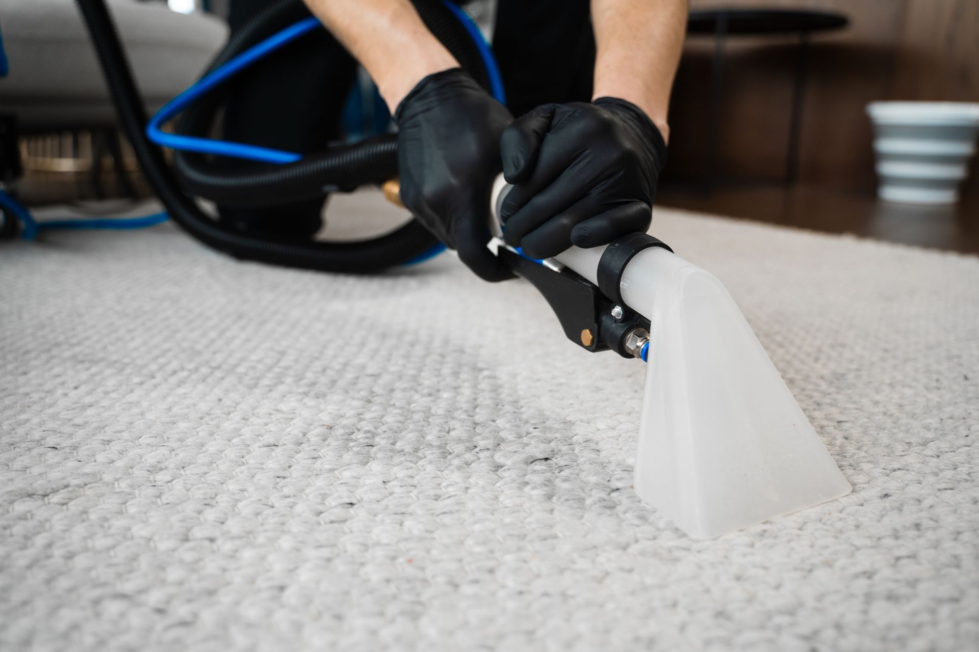 A person in gloves uses a professional tool with blue hoses to clean a carpet at home. A person in gloves uses a professional tool with blue hoses to clean a carpet at home.