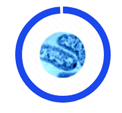 A microscopic view of blue-tinted bacterial cells inside a thick blue circular border.