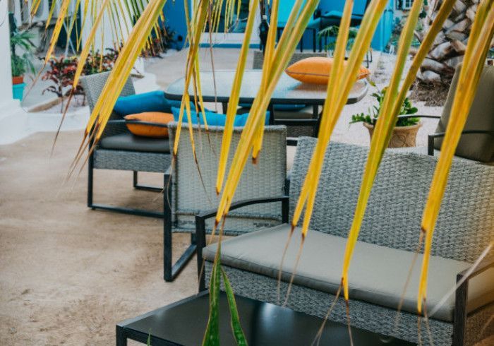 Outdoor seating area with gray wicker furniture, colorful pillows, and a table partially obscured by palm fronds.