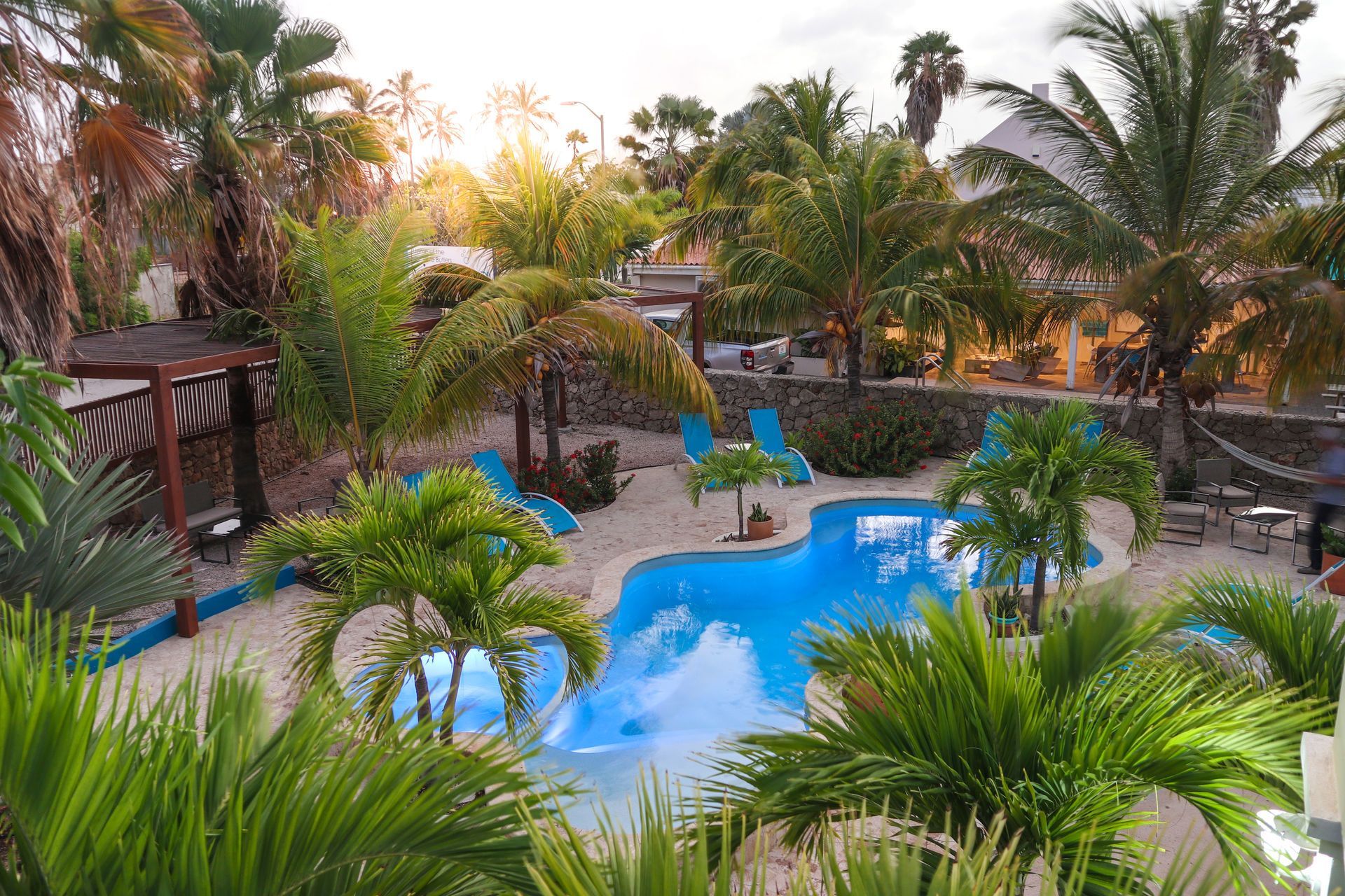 Pool surrounded by palm trees and lounge chairs in a tropical setting.