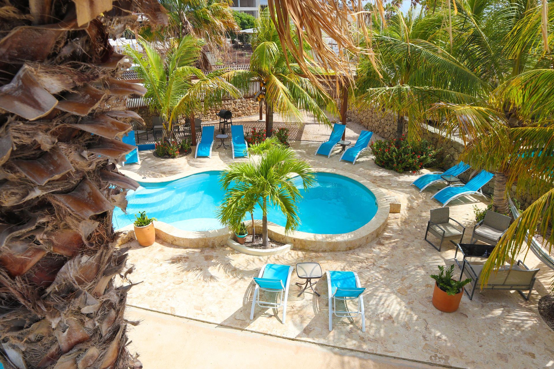 Pool area with blue water, lounge chairs, palm trees, and sand.