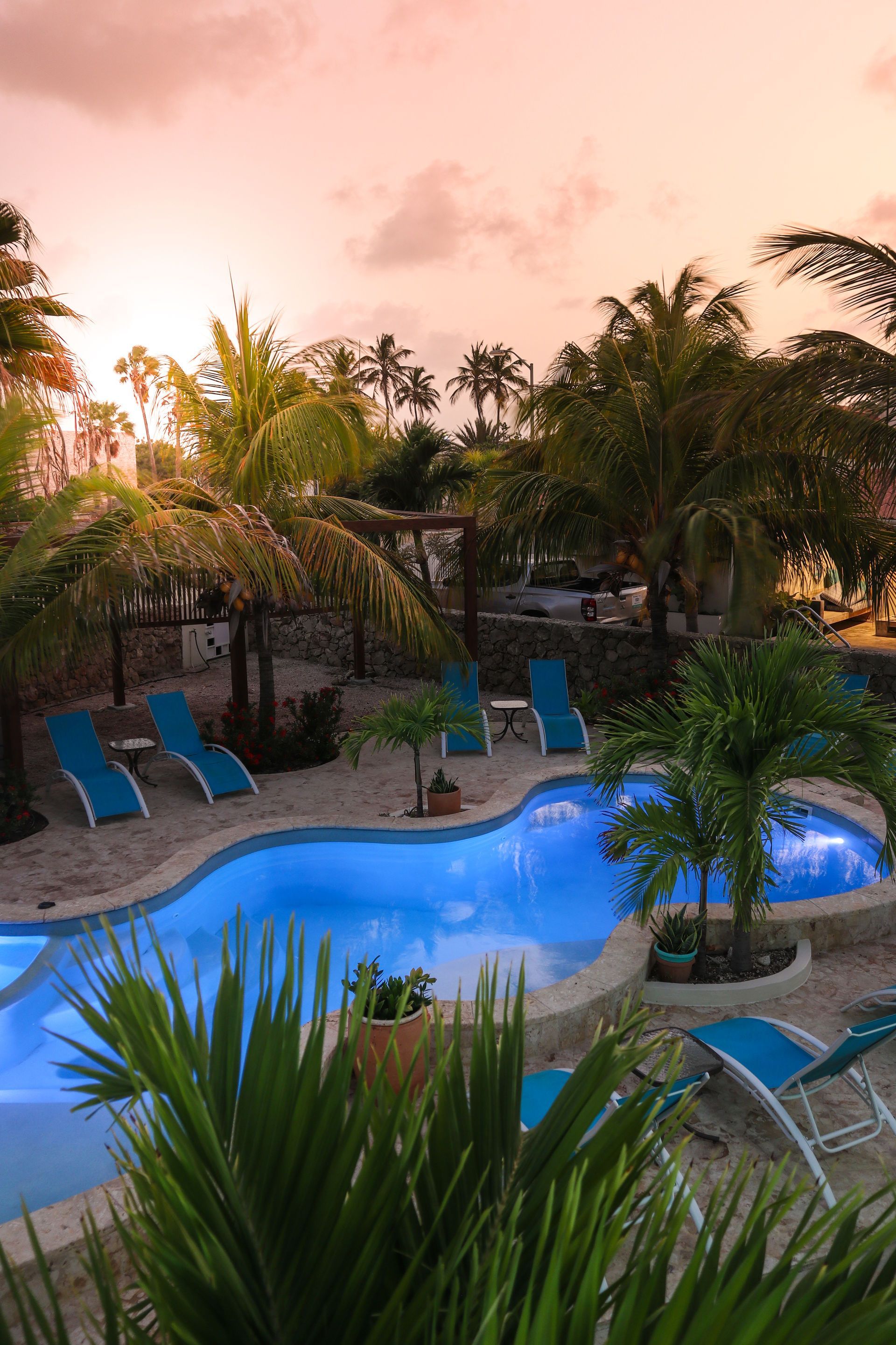Poolside scene with blue lounge chairs, palm trees, and a pool at sunset.
