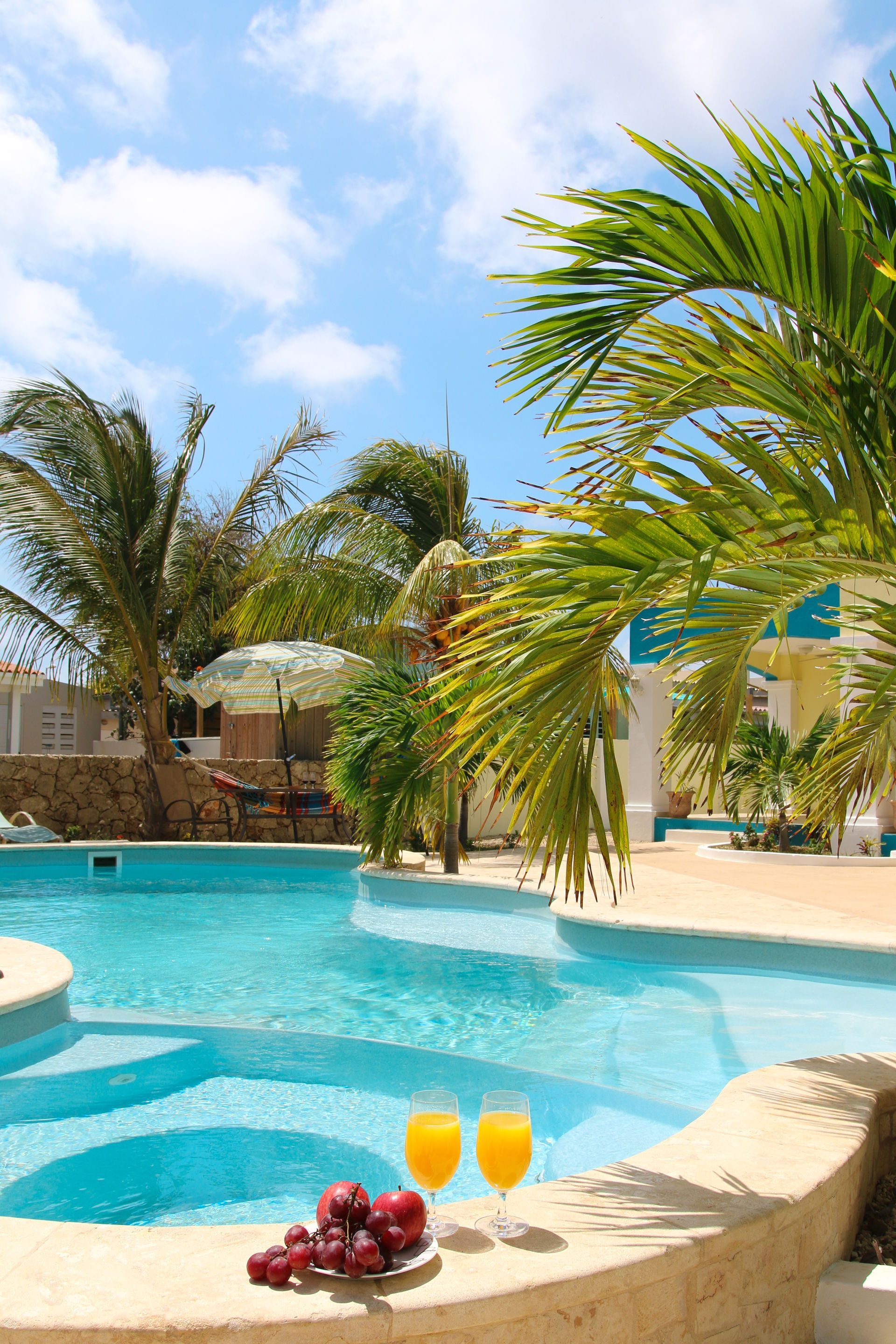 Swimming pool with juice, grapes, and palm trees under a sunny sky.
