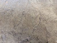 Textured Stamped Concrete