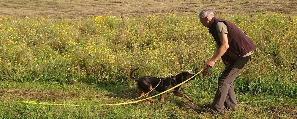 Rückruf, Schleppleine