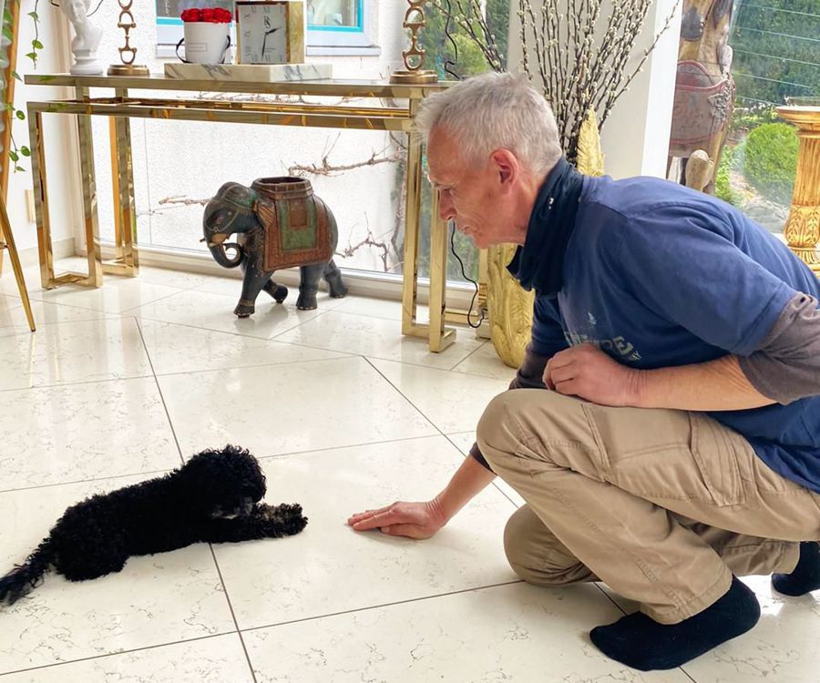 Frustrationskontrolle, Hausbesuch