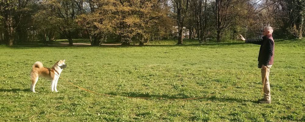 Impulskontrolle Bleib