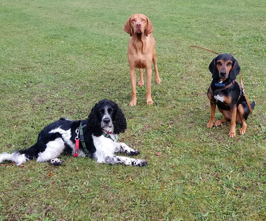 Training in der Gruppe