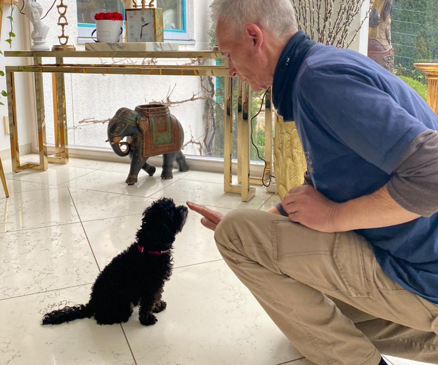 Impulskontrolle, Erregungskontrolle beim Hausbesuch