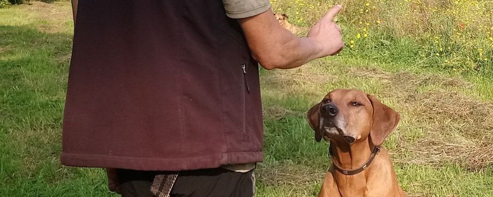 Aufmerksamkeit unter Ablenkung