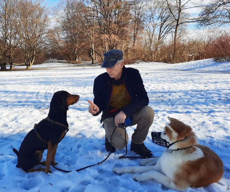 Training bei Sozialaggression