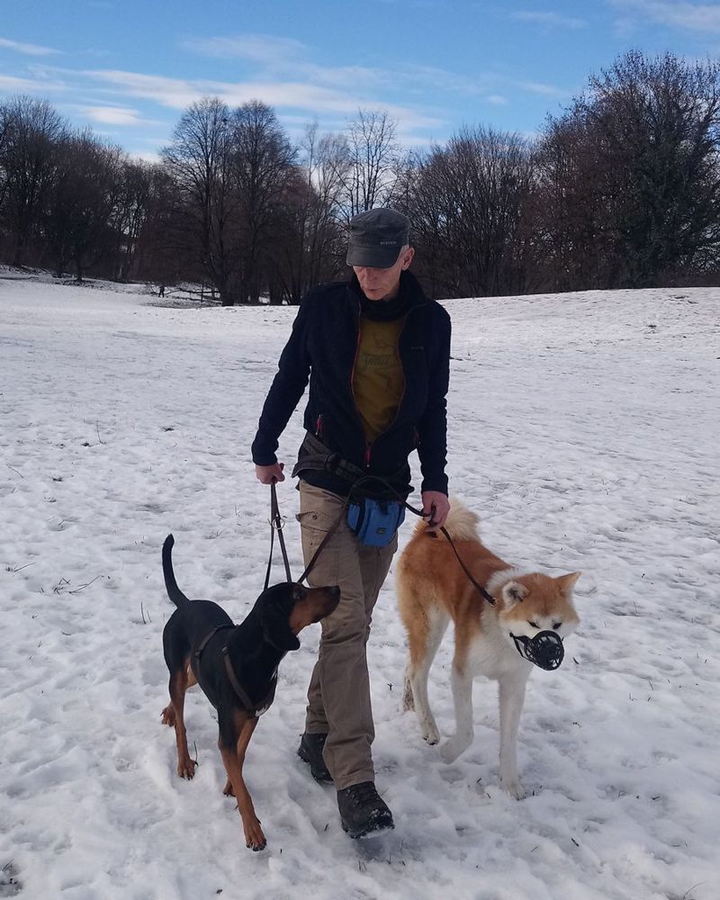 Unverträglichkeit unter Hunden