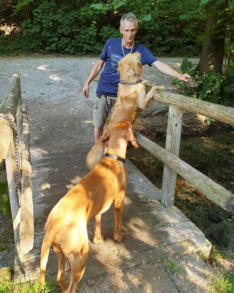 Trainingseinlage während Freilauf