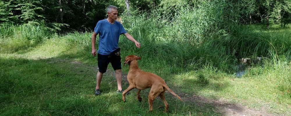 Trainingseinlage während Freilauf
