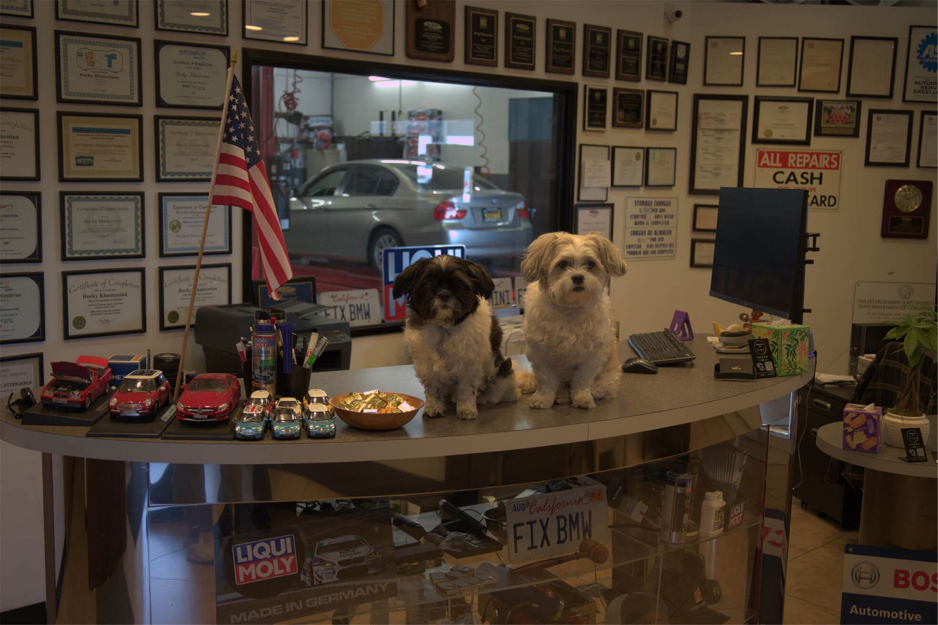 Gallery Image | Bimmer and Benz Specialists