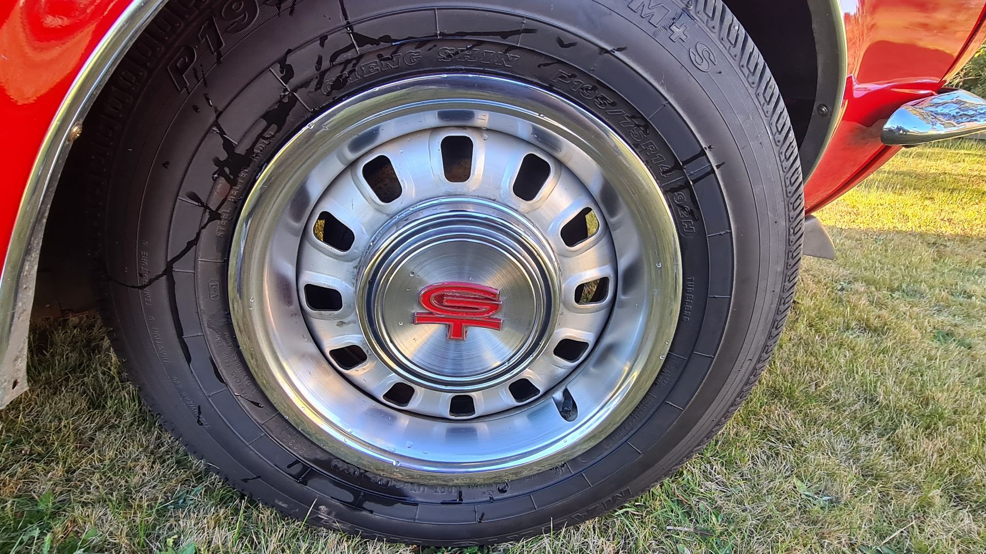 Red Car Tire with A Silver Rim and Center Cap with A Red Logo, Parked on Grass — Autoplus Picton in Picton, NSW