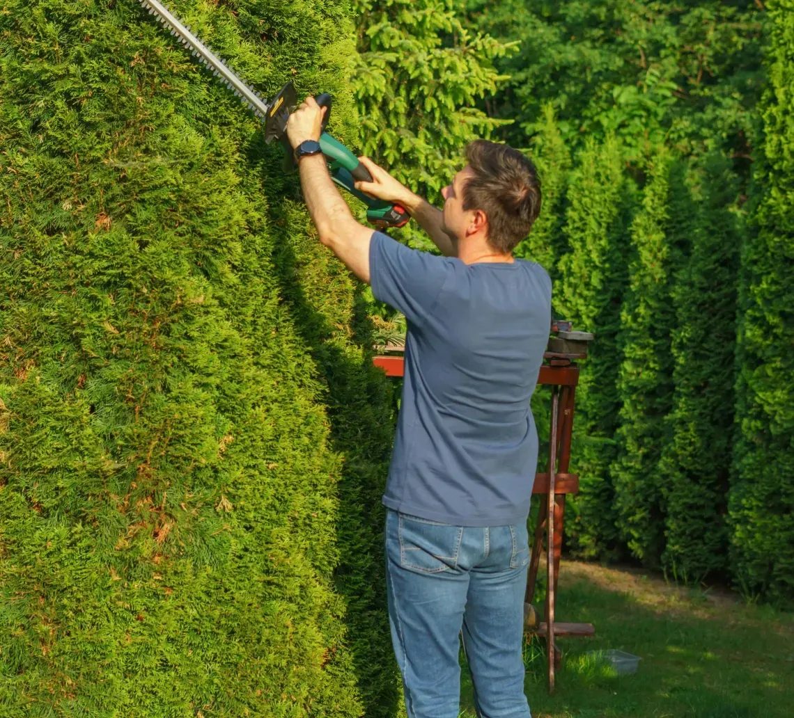 marcos-gardening-tree-service-north-county-faq-image